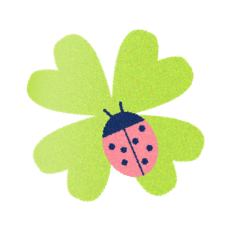 母子保険はぐ+（プラス）の特長