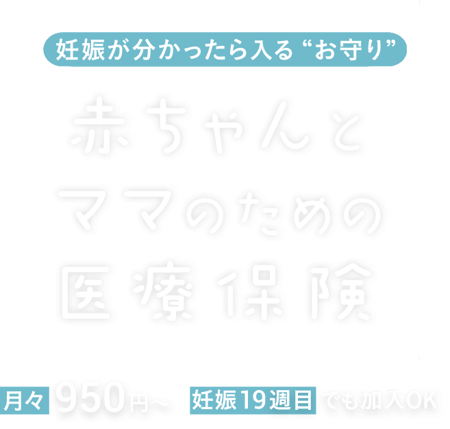 妊娠がわかったらはいる“お守り” 赤ちゃんとママのための医療保険 母子保険 はぐ