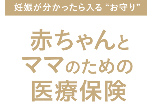 妊娠がわかったらはいる“お守り” 赤ちゃんとママのための医療保険 母子保険 はぐ